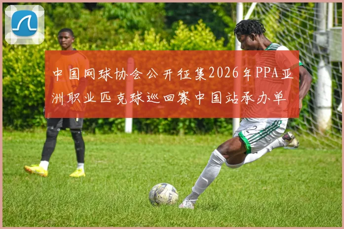 中国网球协会公开征集2026年PPA亚洲职业匹克球巡回赛中国站承办单位